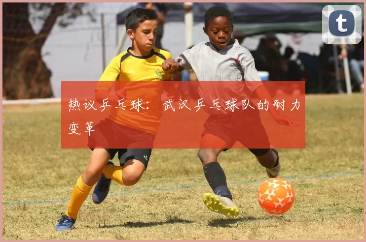 热议乒乓球：武汉乒乓球队的耐力变革