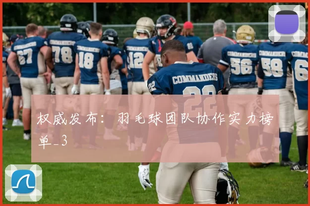 权威发布：羽毛球团队协作实力榜单_3