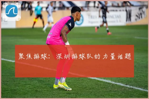 聚焦排球：深圳排球队的力量话题