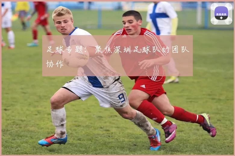 足球专题：聚焦深圳足球队的团队协作