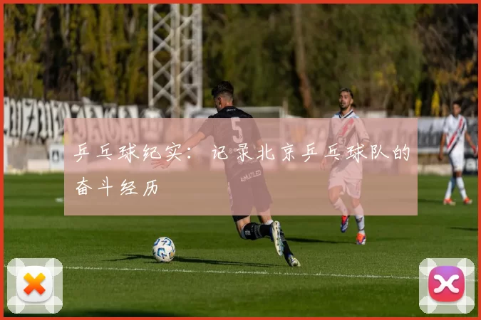 乒乓球纪实：记录北京乒乓球队的奋斗经历