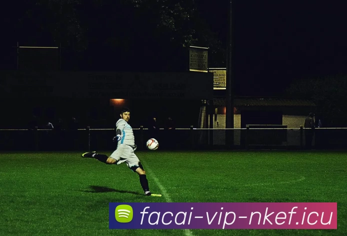 星空体育服务体系